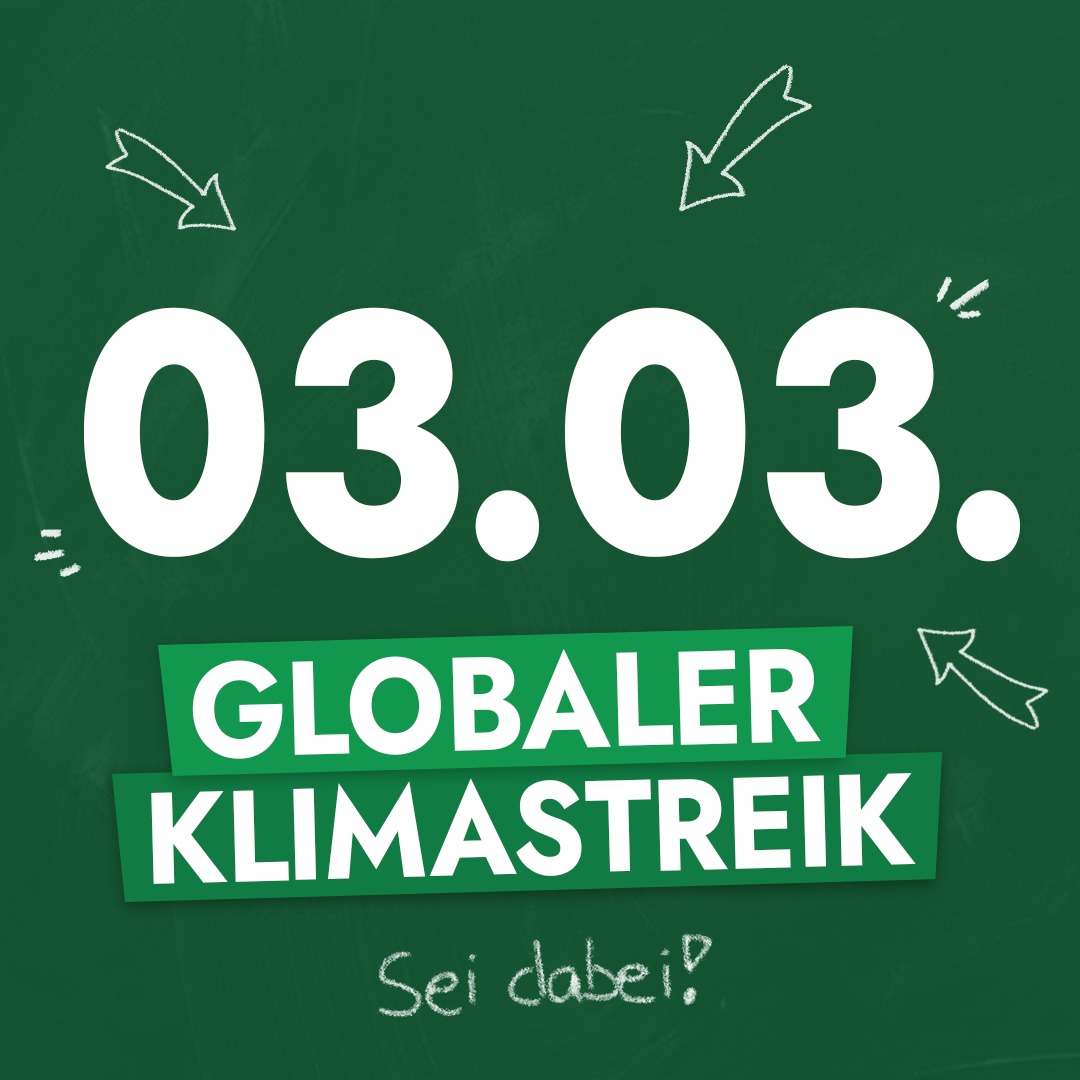 Nächste DEMO - Fridays for Future Braunschweig